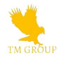 tmgroupcameroun.com